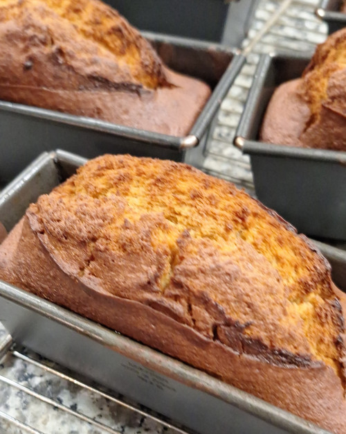 Pain d'épices (255g )