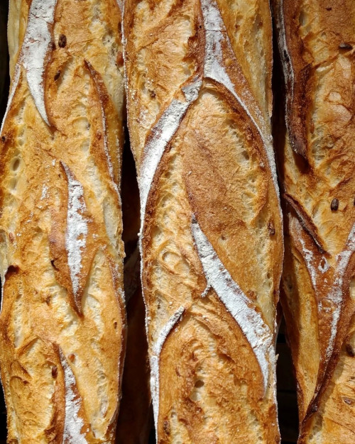 Baguette épeautre aux graines (200 gr)