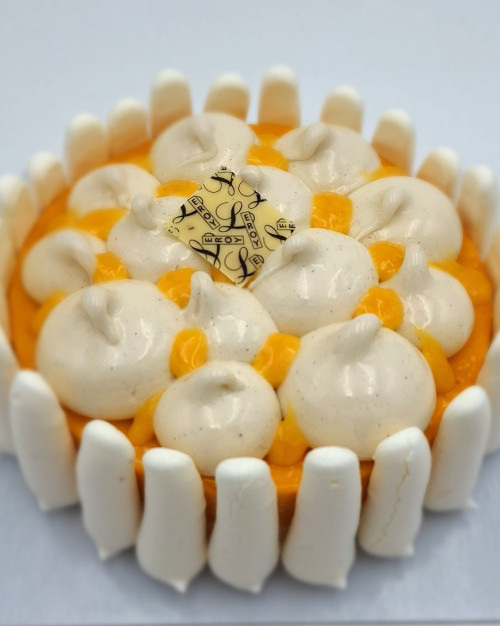 Entremet glacé Façon vacherin vanille Mangue -Passion 5 personnes