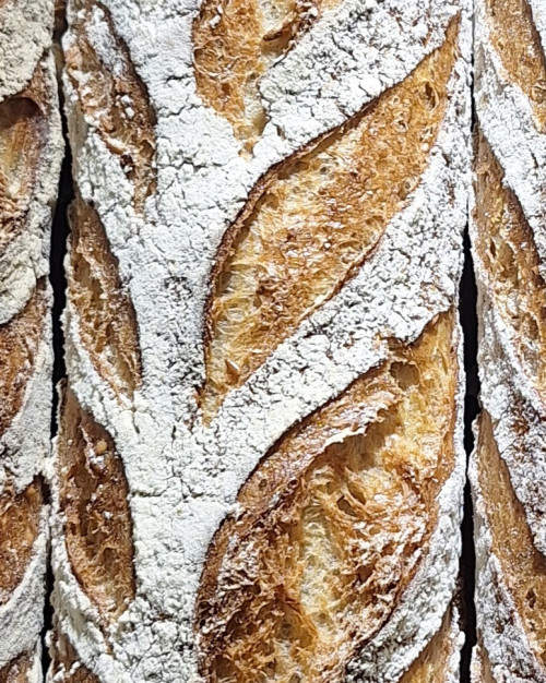Baguette Rustiquette 