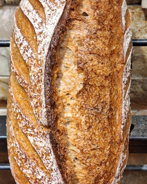 Pain complet Integral