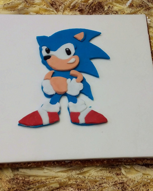 Décors special sonic (pâte à sucre) n° 15