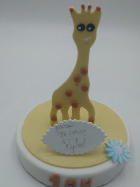 Décors anniversaire enfant  n° 17
