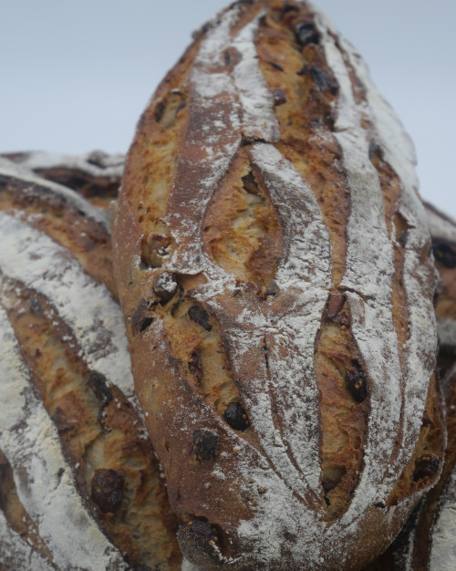 Pain aux figues 350 gr 