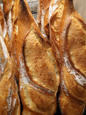 Savourette grande  (400 gr)
