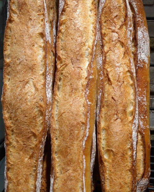 Baguette La  Tradi Normande (250 gr )